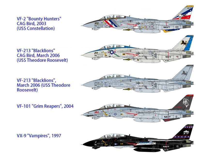 Tamiya 60795 Grumman F-14D Tomcat / Tamiya USA