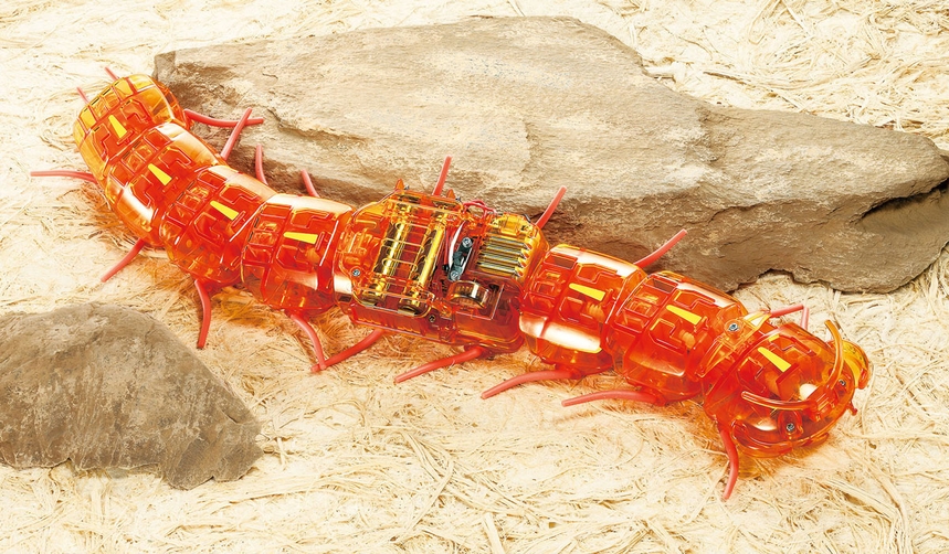Centipede Robot (Clear Orange)