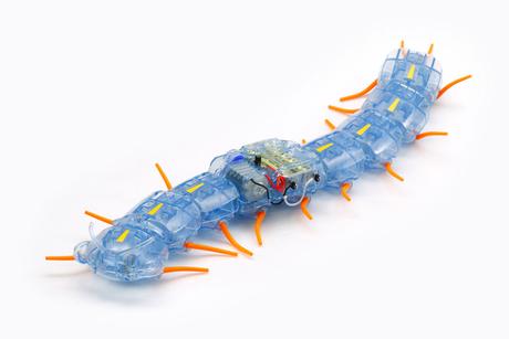 Centipede Robot