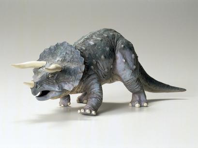 Triceratops Eurycephalus Kit